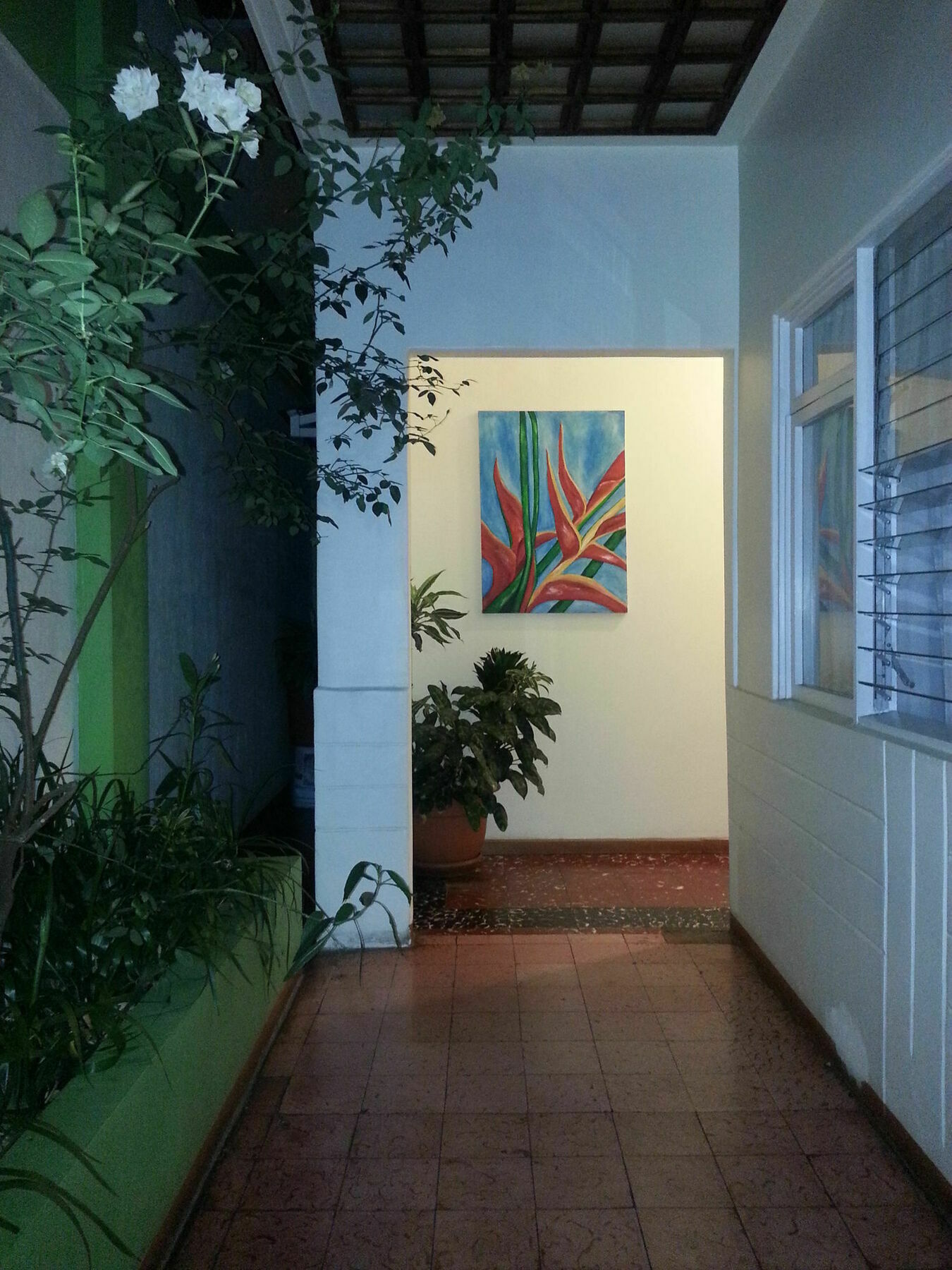 Hotel La Guaria Inn & Suites アラフエラ エクステリア 写真