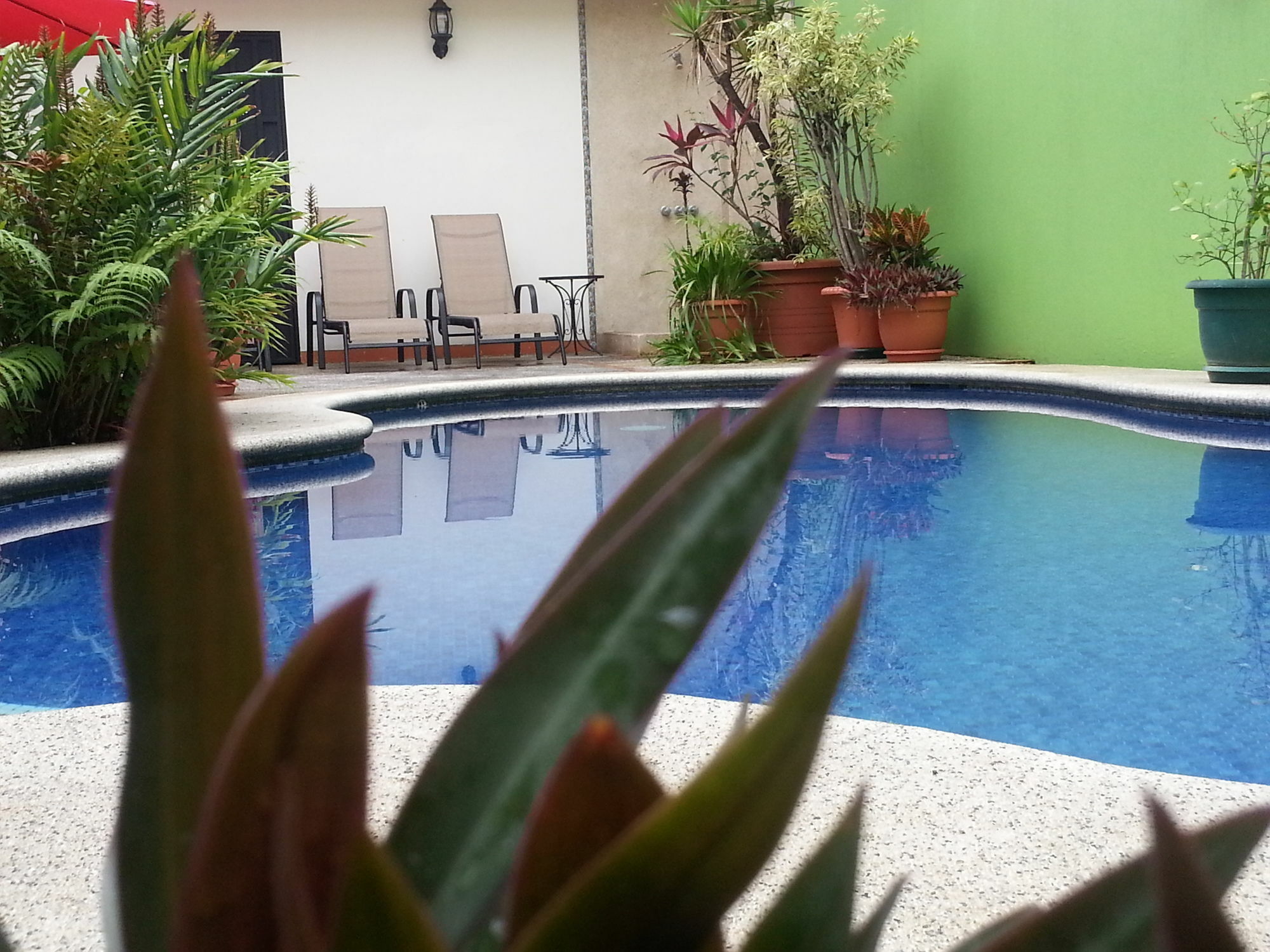 Hotel La Guaria Inn & Suites アラフエラ エクステリア 写真
